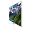 UE49N5510A